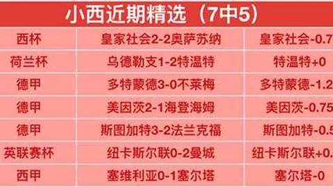 BB贝博艾弗森体育