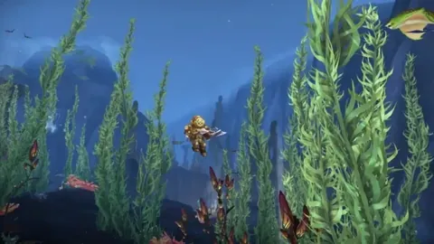 BB贝博艾弗森体育